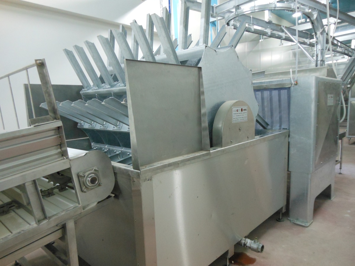 4-SCOTTATURA-E-DEPILATURA