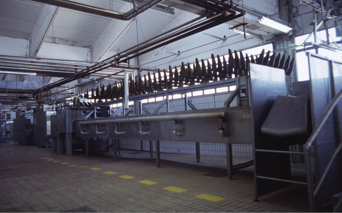 5-VASCA-DI-SCOTTATURA-CON-AVANZATORE